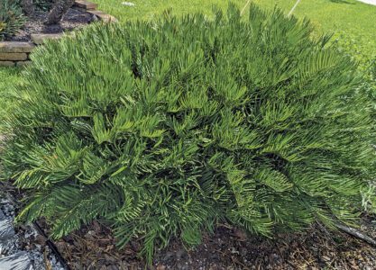article image - 